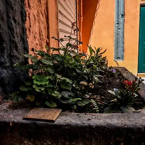 Little House Neapel